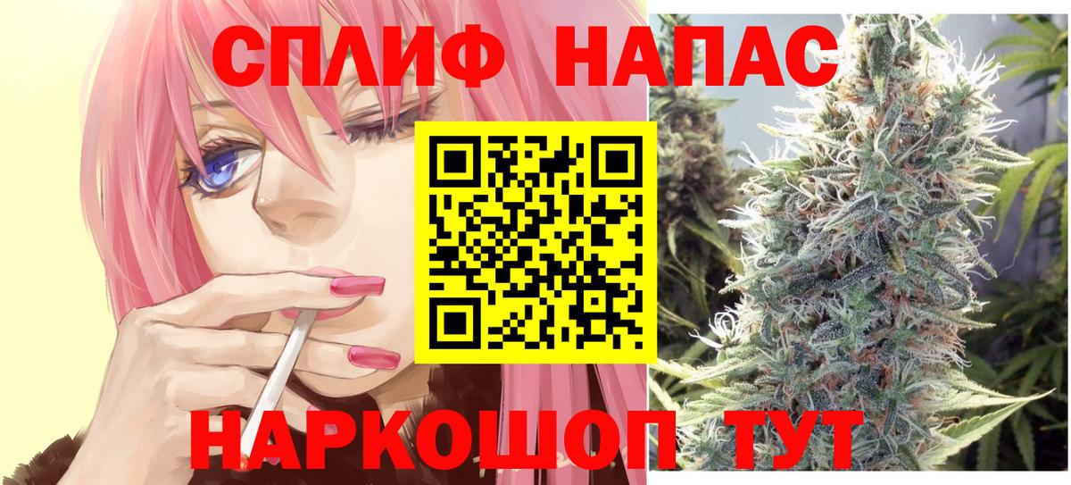 Каннабис OG Kush  Бошки марихуана план  Нижний Тагил  Бошки Шишки Amnesia  Вход с VPN  Шишки марихуана White Widow 
